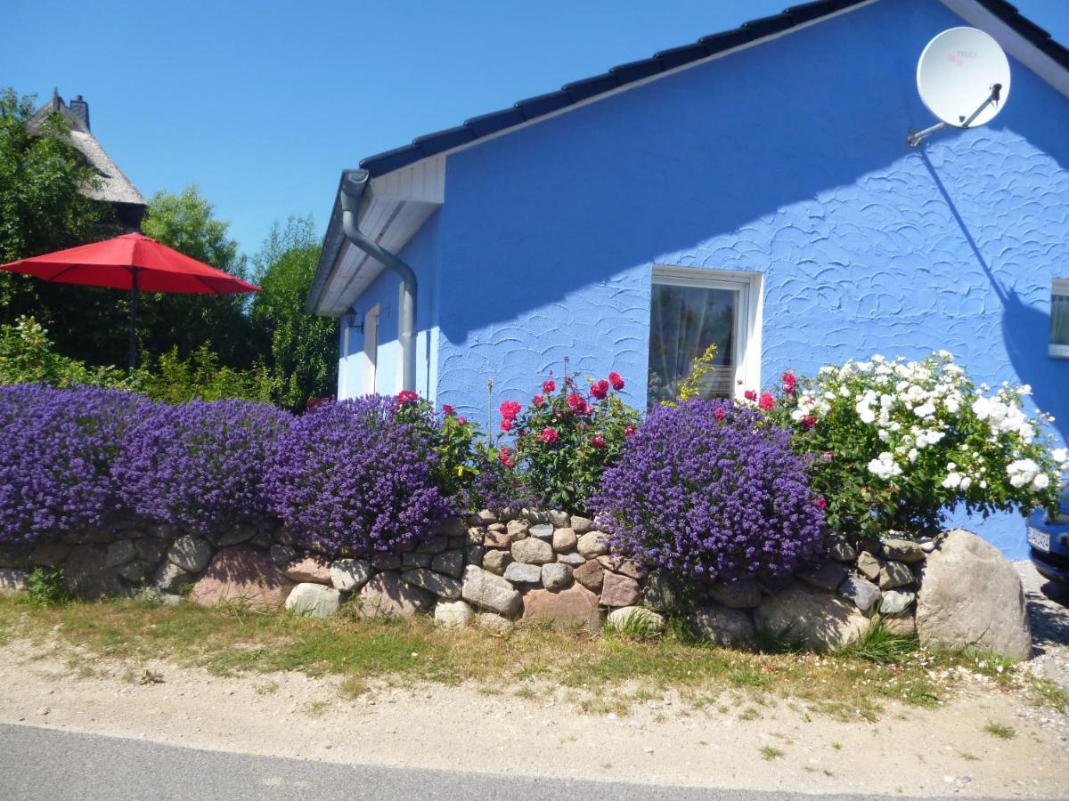 Haus Lavendel Villa Lancken Eksteriør billede